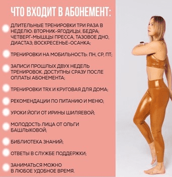 1672510335487-png.31376