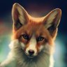 fox7