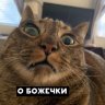 Nady.Ru