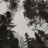АнастасияЕва