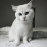Sasha_Pushkinna