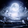 loveangels