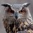 MyOwl